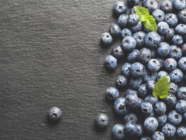 Top view of blueberries on gray slate background with copy space. Blueberry close up background.