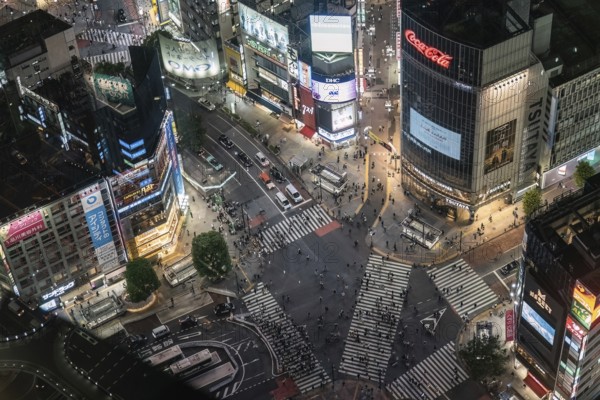 Crossroads in Shibuya in the evening from above. Numerous monitors and advertising signs illuminate