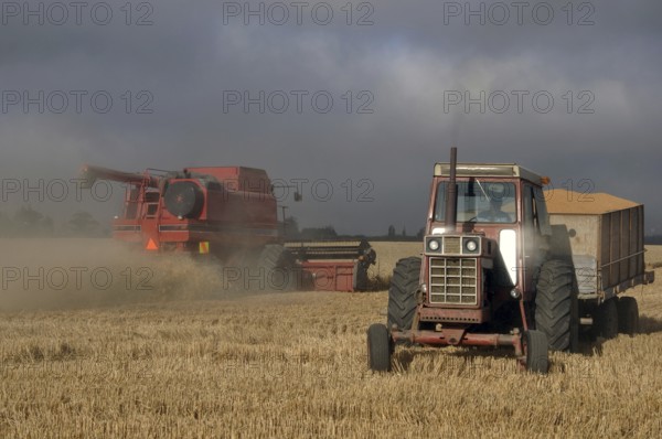 TIMARU, NEW ZEALAND, CIRCA FEBRUARY 2010: Farmers harvest a crop of wheat, South Canterbury, New