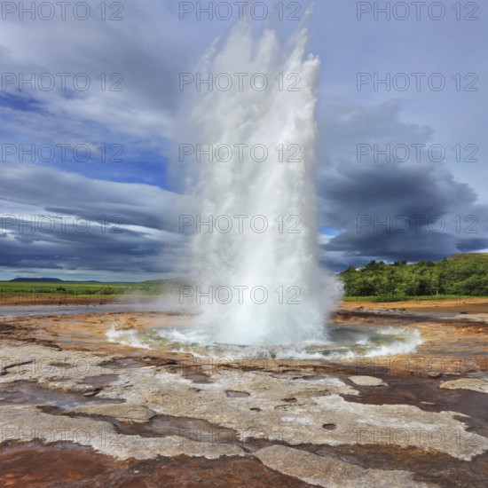 Iceland in the summer. Gushing geyser Strokkur. High column of hot water and steam from the crater