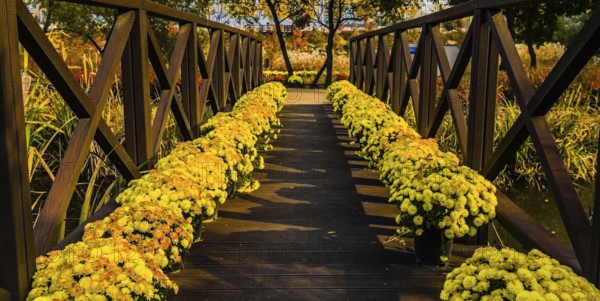 Wooden footbridge over a pond with pots of yellow daisies lining each side of the walkway, South