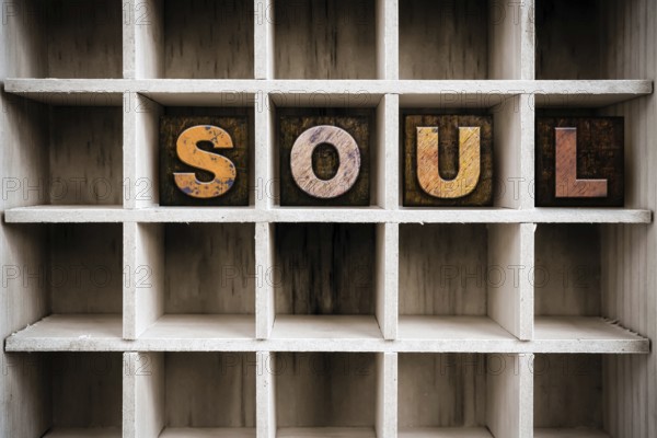 The word SOUL written in vintage ink stained wooden letterpress type in a partitioned printer's