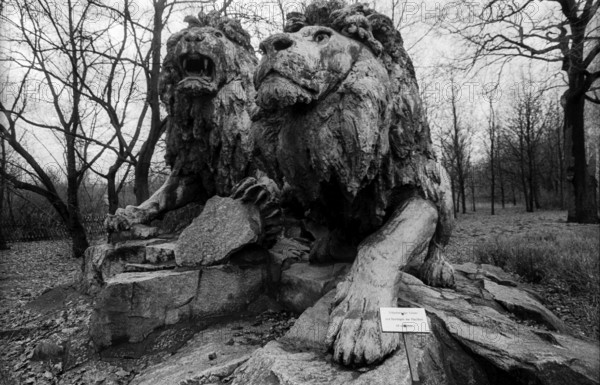 Germany, Berlin, 03.01.1991, Tierpark Friedrichsfelde, lions, used to stand in front of the city