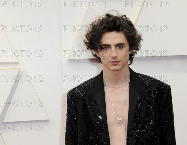 Timothée Chalamet at the 94th Annual Academy Awards held at the Dolby Theatre in Los Angeles, USA