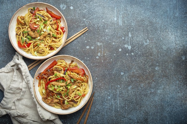 Two bowls with Chow Mein or Lo Mein, traditional Chinese stir fry noodles with meat and vegetables,