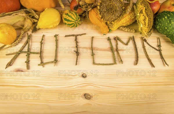 The word autumn written out of tree twigs on a wooden background, with the results of the harvest