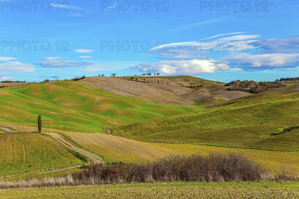 Travel to Tuscany. Sunny day at the beginning of winter. The famous picturesque and harmonious