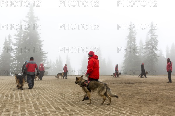 Sofia, Bulgaria - April 20, 2016: Men and their dogs at the search and rescue team at Bulgarian Red