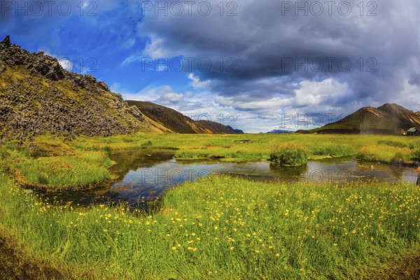 The picturesque valley in Landmannalaugar national park. Summer in Iceland. Green grass among hot