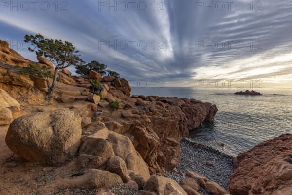 Coastal landscape with bizarre, red rocks and weathered, gnarled trees at sunset over the sea,