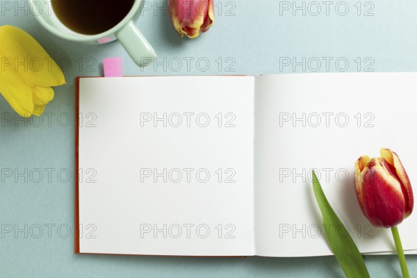Empty note paper with tulip flowers, black coffee on mint green background. flat lay, top view,