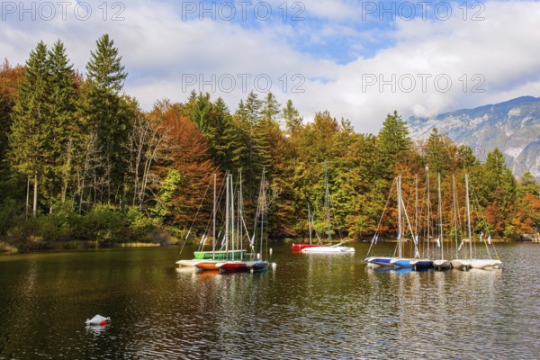 Slovenia. Sailing yachts and motor boats. Magnificent lake with clear water is surrounded by dense
