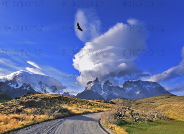 National Park Torres del Paine in southern Chile. A dirt road leads to the distant mountains. A