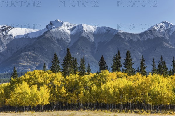 The first snow has already fallen on the peaks. Great Canadian Rockies. Scenic shores of Abraham