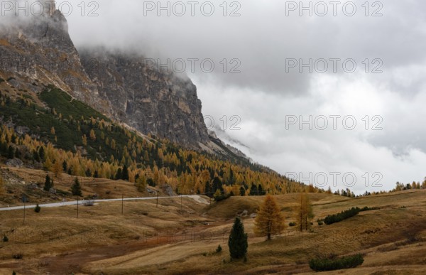 Autumn forest landscape at Passo Falzarego valley. Dolomite mountain range Italy. Fall season