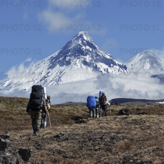 Hiking on Kamchatka Peninsula: group of tourists and travelers with backpacks behind the shoulders