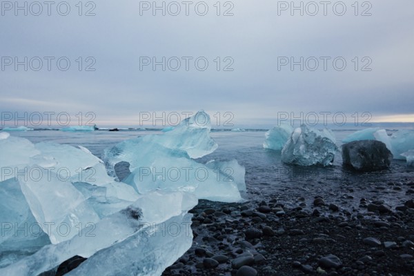 Vast icy shoreline seen with scattered icebergs under a wide overcast sky, Expansive icy scene with
