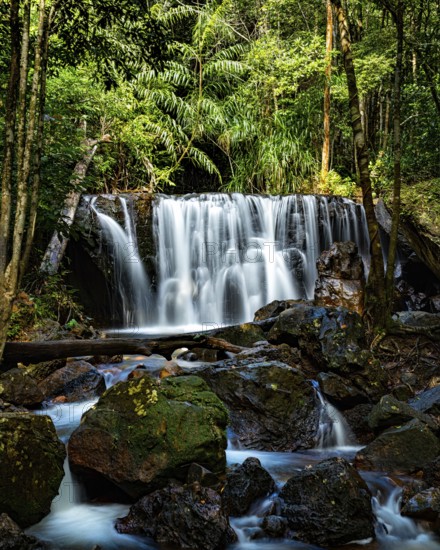 A serene waterfall cascades over rocks surrounded by lush greenery in a tropical forest, landscape,
