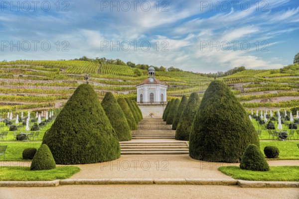 Belvedere Schloss Wackebarth, baroque gardens, Saxon State Winery, Oberlößnitz, Radebeul, Saxony,