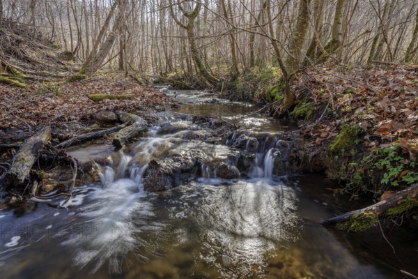 Small waterfall flows through wooded terrain, Stöckenhof, Bodanrücken, Allensbach, Lake Constance,
