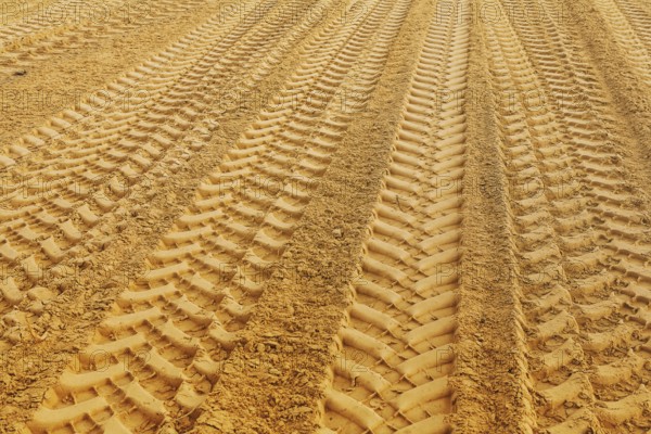 View on traks on sand