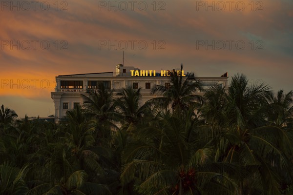 A tranquil view of a hotel amongst palm trees during sunset, nigtht, city, architecture, night