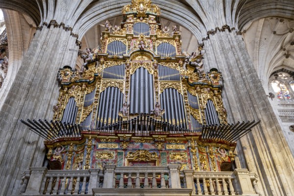 Gospel organ, built by Pedro de Echevarria in 1744, Cathedral of the Assumption of the Virgin,