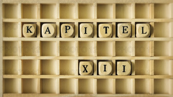 An image of a wooden game with the word chapter twelve in german language