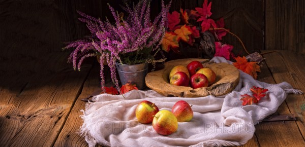 Malus sylvestris, der leckere europäische Krabbenapfel