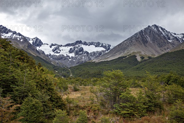 Mountain landscape with glacier and dense forest under a cloudy sky, The jungle of Tierra del Fuego