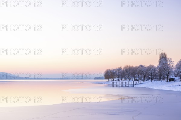 Winter landscape with snow-covered trees and frozen lake at dusk, Seegarten, Allensbach, Lake