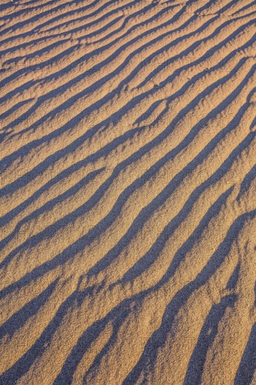 Mesquite Flat Sand Dunes - dunes in Death Valley, USA. Magical desert morning. The sand lies in
