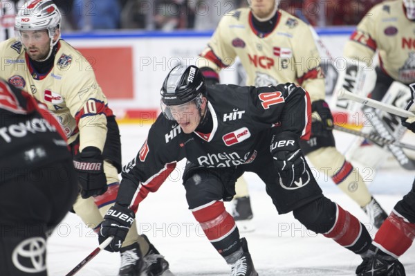 LanxessArena, Cologne, North Rhine-Westphalia, Justin Schütz (Cologne Sharks, #10), PENNY DEL,