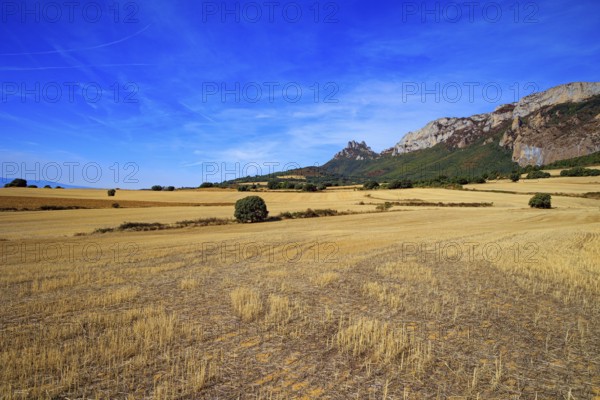 Basque country, province of Guipuzcoa, Spain. Lush colors of autumn. Gorgeous scenic road from San