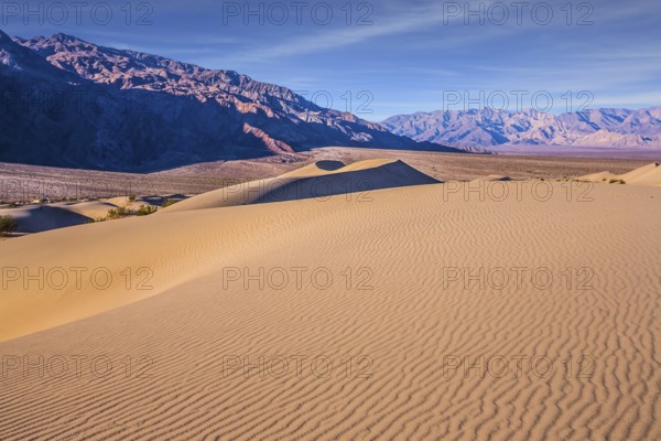 Easily accessible dunes are located along Road 190. Magical desert morning. Mesquite Flat Sand