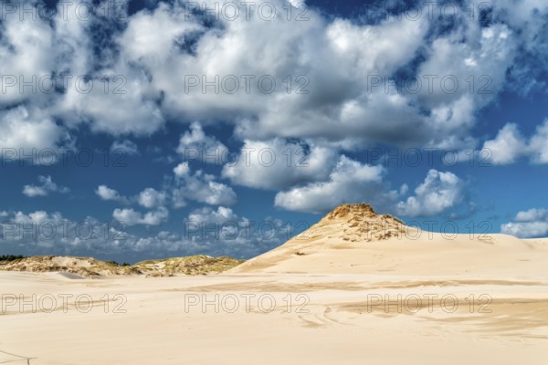 Dune landscape on the Baltic coast in Leba, Poland