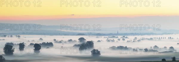A foggy panorama at sunrise with trees and quiet landscape, Galgenberg, Aachried, Radolfzell, Lake