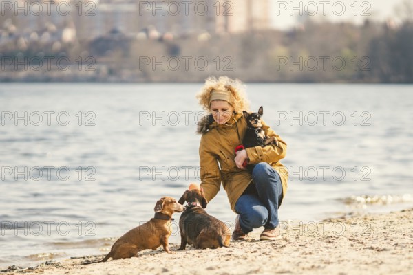 Subject lot pets, dog lover on walk. Adult, old elderly Caucasian woman with three dogs breed