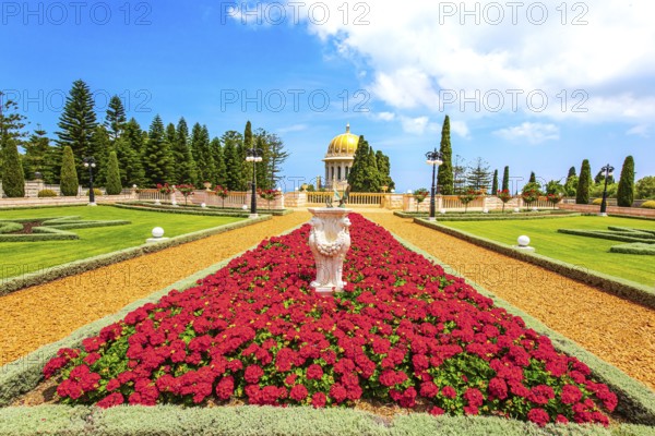 Luxurious flower bed with bright red flowers. Bahai World Center. Pilgrimage center and popular