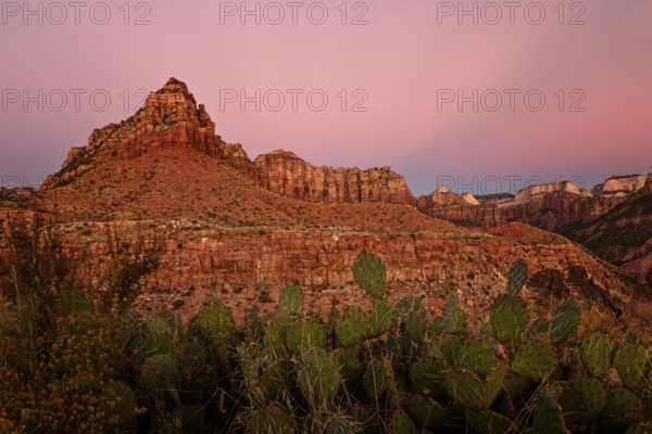 Is an American national park located in southwestern Utah near the town of Springdale.The canyon