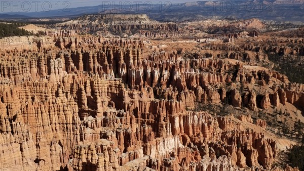 View in the semicircle of the amphitheatre in Bryce Canyon, a grandiose scenery of bizarre rock