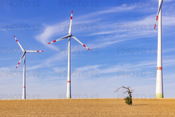 Several innovative wind turbines of different sizes on a barren field behind an old tree in the