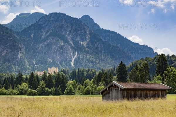 An image of the palace Hohenschwangau in Bavaria Germany