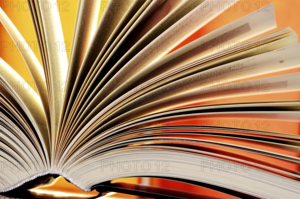 Composition with hardcover books in the library