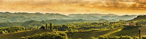 Panoramic view at famous wine street in south styria, Austrian destination, tuscany like vineyard