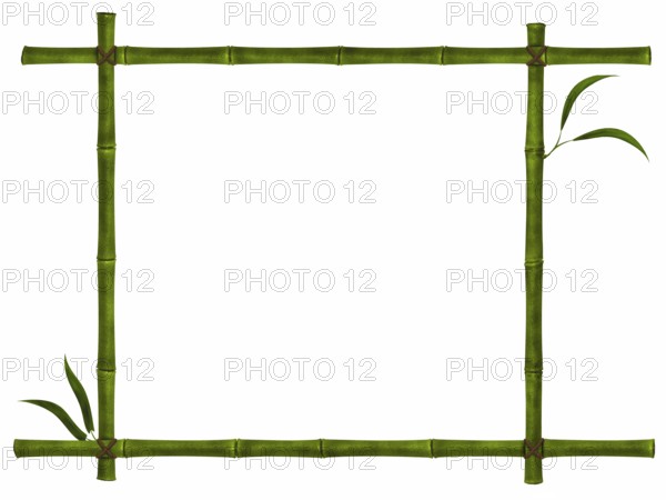 Illustration of bamboo frame with leaves