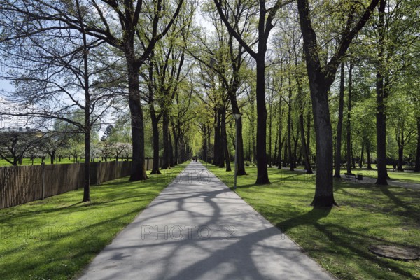 The famous Hofgarten city park situated near the Jean Paul, Wagner and Liszt museums on a sunny