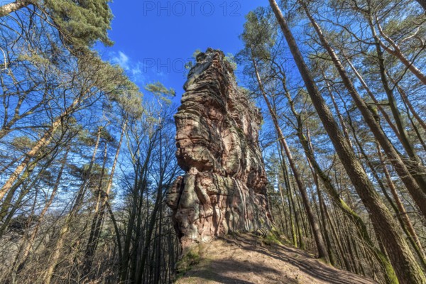 Geiersteinfelsen, Geierstein, Palatinate Forest, Bruchweiler-Bärenbach, Rhineland-Palatinate,