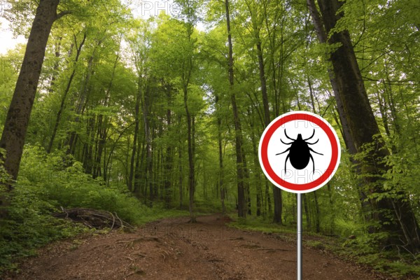 Tick insect warning sign in nature forest. Lyme disease and tick-borne meningoencephalitis