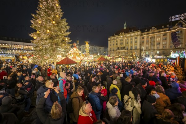 The Dresden Striezelmarkt is a Christmas market in Dresden. It has been held in Advent since 1434,